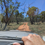 Thumb for Magnetic Island